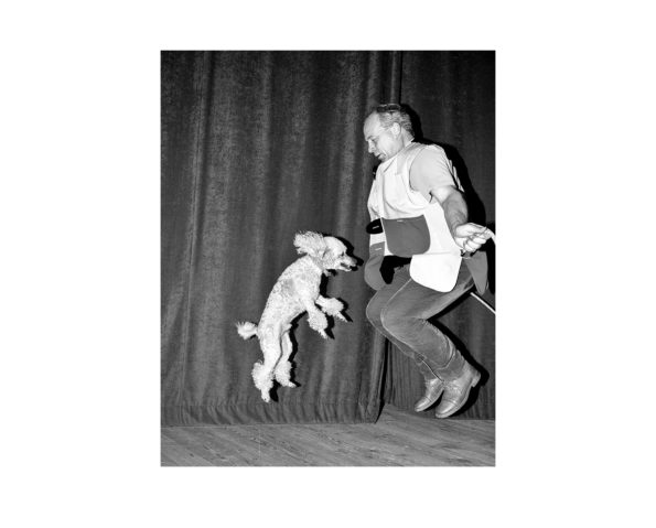 Jumping Dog / Adam Lach